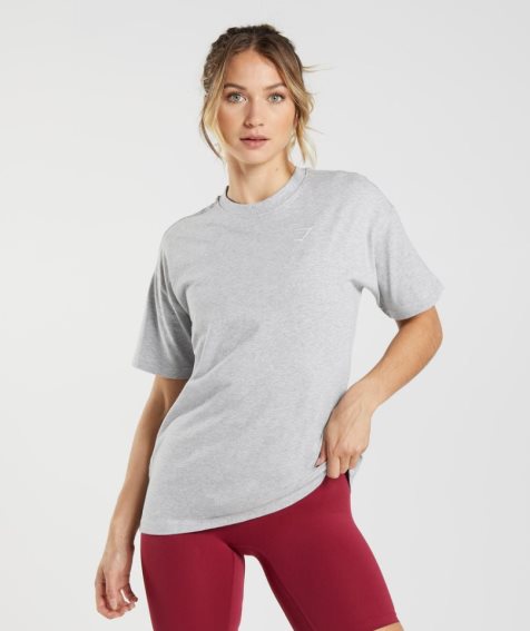 Women's Gymshark Training Oversized T-Shirts Light Grey | CA AN183D